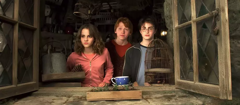 Test: Welcher Harry Potter Charakter bist du, Albus Dumbledore oder der Dunkle Lord?